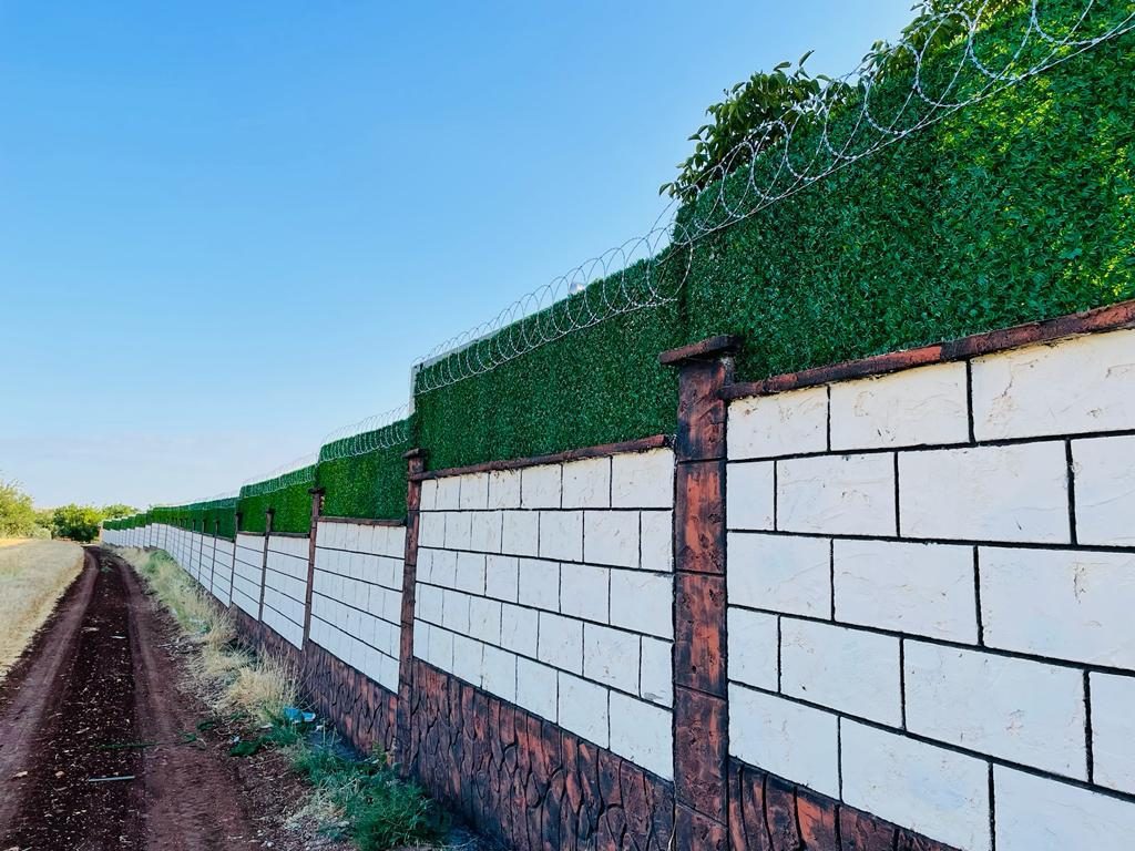 alagozler (3) alagozler (3)