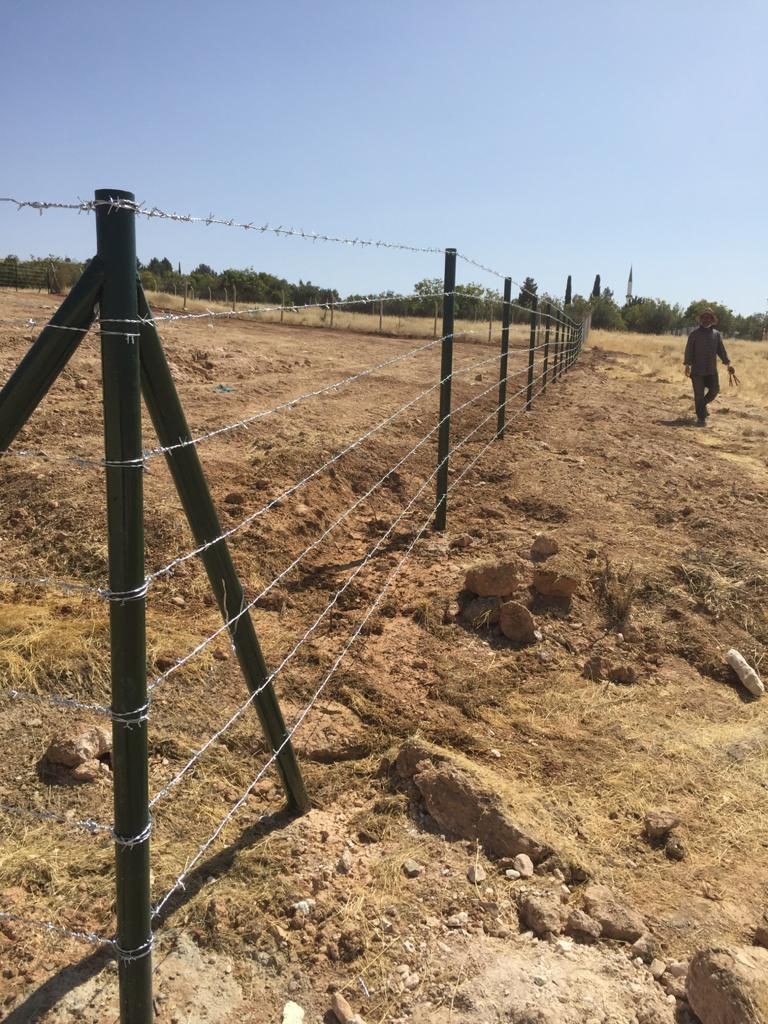 alagozler (1) alagozler (1)