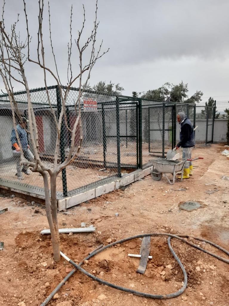 alagozler (14) alagozler (14)