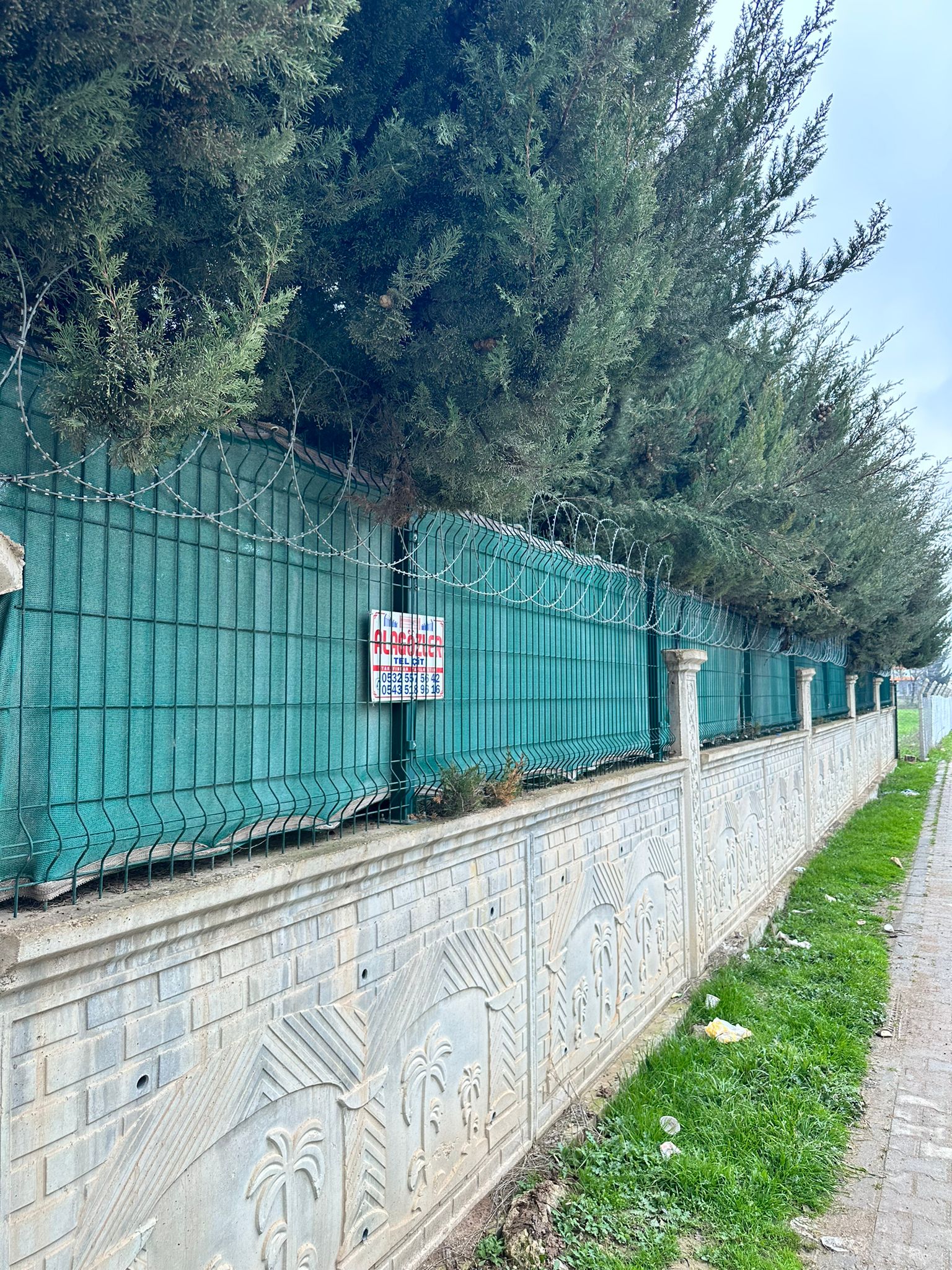 alagozler-001 (12) alagozler-001 (12)